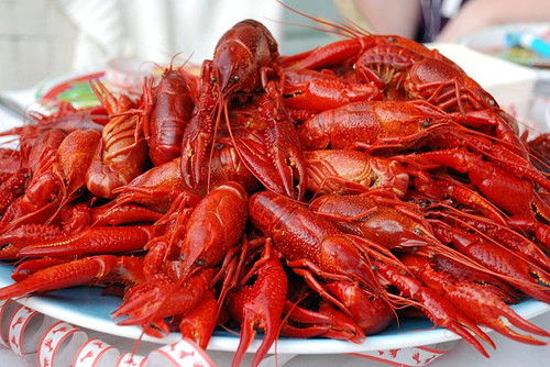 Name:  crawfish21.jpg
Views: 112
Size:  148.8 KB