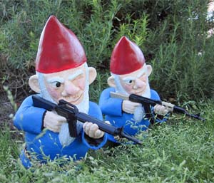 Name:  combat-garden-gnomes.jpg
Views: 181
Size:  22.1 KB