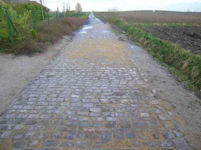 Name:  Paris-Roubaix_4_-_Secteur_pavé_de_Bourghelles.jpg
Views: 276
Size:  61.1 KB