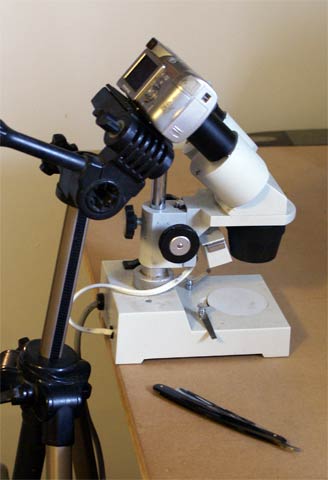 Name:  microscope.jpg
Views: 161
Size:  20.5 KB