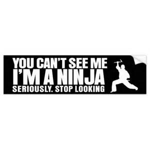 Name:  ninja.jpg
Views: 104
Size:  8.7 KB