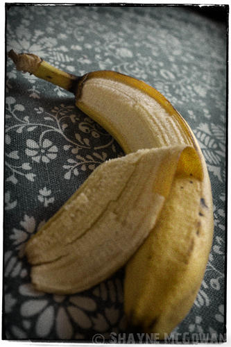 Name:  bananas 3-.jpg
Views: 112
Size:  37.6 KB