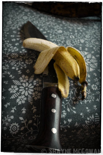 Name:  bananas 2-.jpg
Views: 98
Size:  37.4 KB