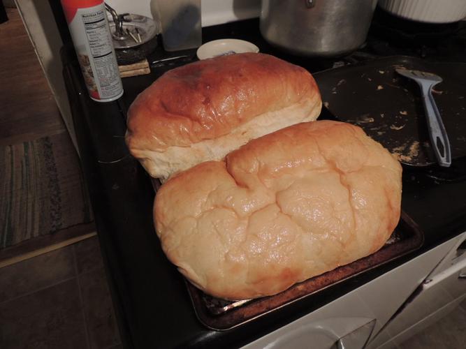 Name:  bread.jpg
Views: 226
Size:  36.2 KB