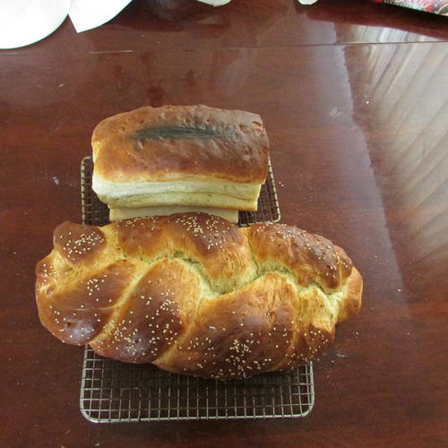 Name:  Dill Bread 006.jpg
Views: 157
Size:  40.2 KB