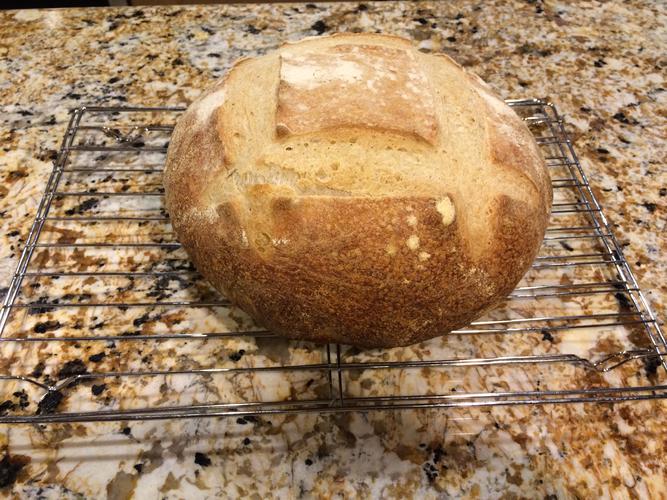 Name:  Wild yeast boule.jpg
Views: 109
Size:  84.4 KB