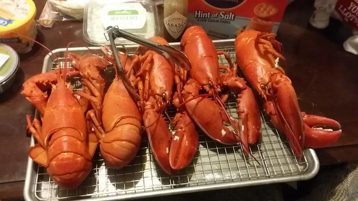 Name:  LobstersCooked.jpg
Views: 139
Size:  50.8 KB