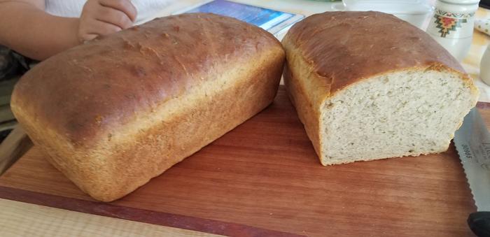 Name:  Sourdough Dill Bread.jpg
Views: 87
Size:  32.5 KB
