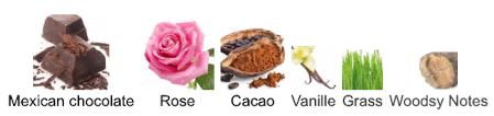 Name:  HildeSoliani-CiocoRosissimo-FN-F.png
Views: 8
Size:  41.4 KB
