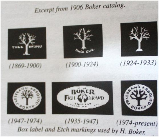 Name:  boker tree chart2.JPG
Views: 3321
Size:  51.4 KB