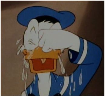 Name:  crying duck.JPG
Views: 1206
Size:  22.5 KB
