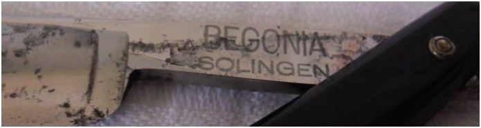 Name:  begonia solingen razor 2.JPG
Views: 351
Size:  25.2 KB