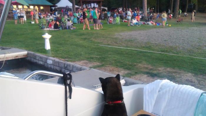 Name:  Remi watching the band.jpg
Views: 174
Size:  41.5 KB