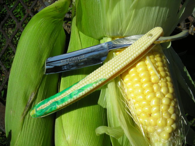 Name:  corn 010.jpg
Views: 147
Size:  60.0 KB