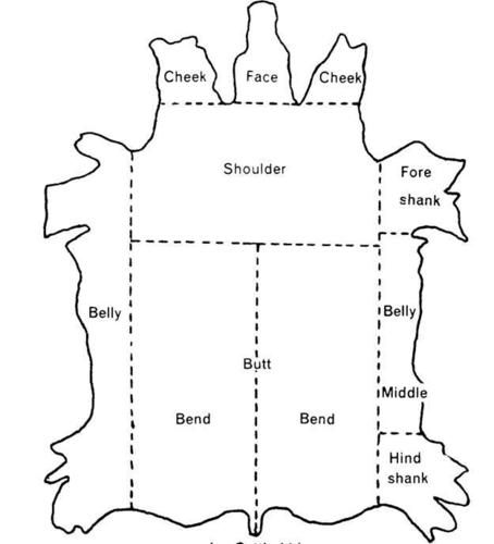 Name:  Diagram-of-Cut-Sections-of-Cattle-Hide1.jpg
Views: 6388
Size:  20.1 KB